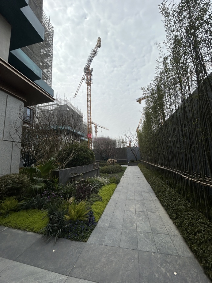 实景图