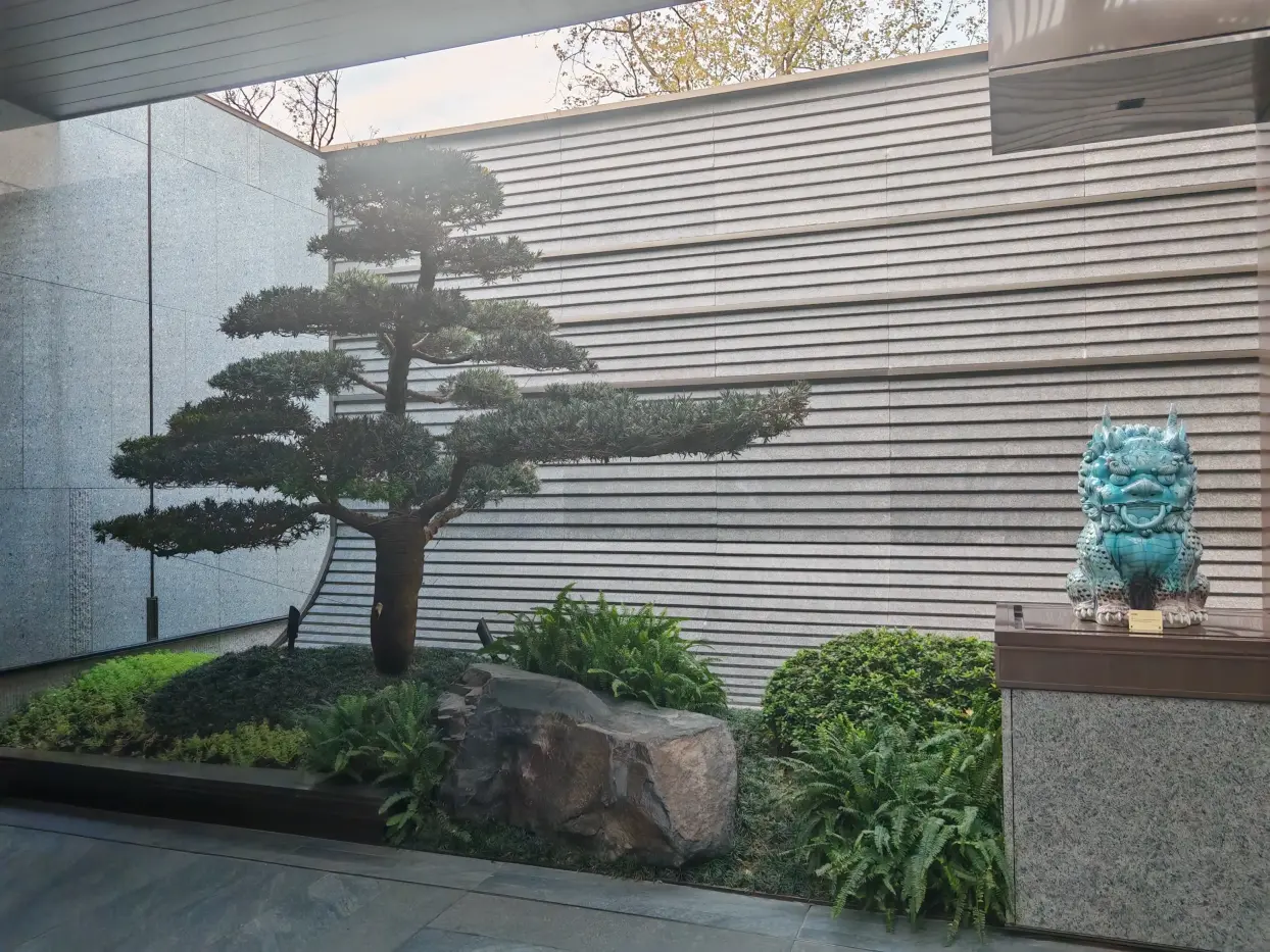 实景图